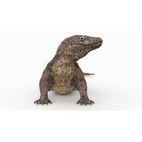 Komodo Dragon Animated 3D model